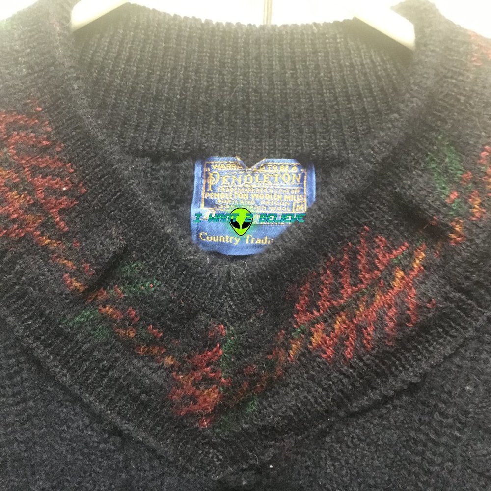 *ON HOLD* Pendleton Wool Sweater - Medium - Picture 3 of 7